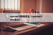 openwrt网络优化（openwrt dns优化）