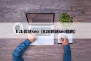 b2b网站seo（B2B网站seo指南）