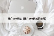 推广seo网站（推广seo网站的公司）