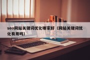 seo网站关键词优化哪家好（网站关键词优化有用吗）