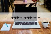 老网站seo（老网站se58se）