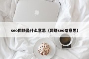 seo网络是什么意思（网络seo啥意思）