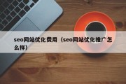 seo网站优化费用（seo网站优化推广怎么样）