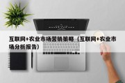 互联网+农业市场营销策略（互联网+农业市场分析报告）