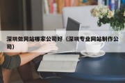 深圳做网站哪家公司好（深圳专业网站制作公司）