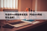 专业的seo网站排名优化（专业seo网站优化品牌）