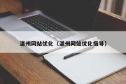 温州网站优化（温州网站优化指导）