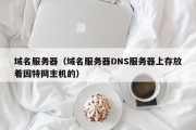 域名服务器（域名服务器DNS服务器上存放着因特网主机的）