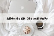 免费dns域名解析（域名dns解析查询）