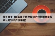 域名属于（域名属于世界知识产权组织界定和承认的知识产权课题）