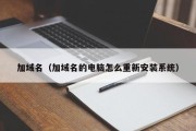 加域名（加域名的电脑怎么重新安装系统）