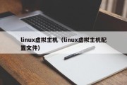 linux虚拟主机（linux虚拟主机配置文件）