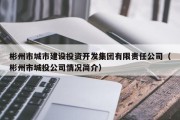 彬州市城市建设投资开发集团有限责任公司（彬州市城投公司情况简介）