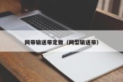 网带输送带定做（网型输送带）