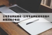 公司专业网站建设（公司专业网站建设济南兴田德润简介电话）